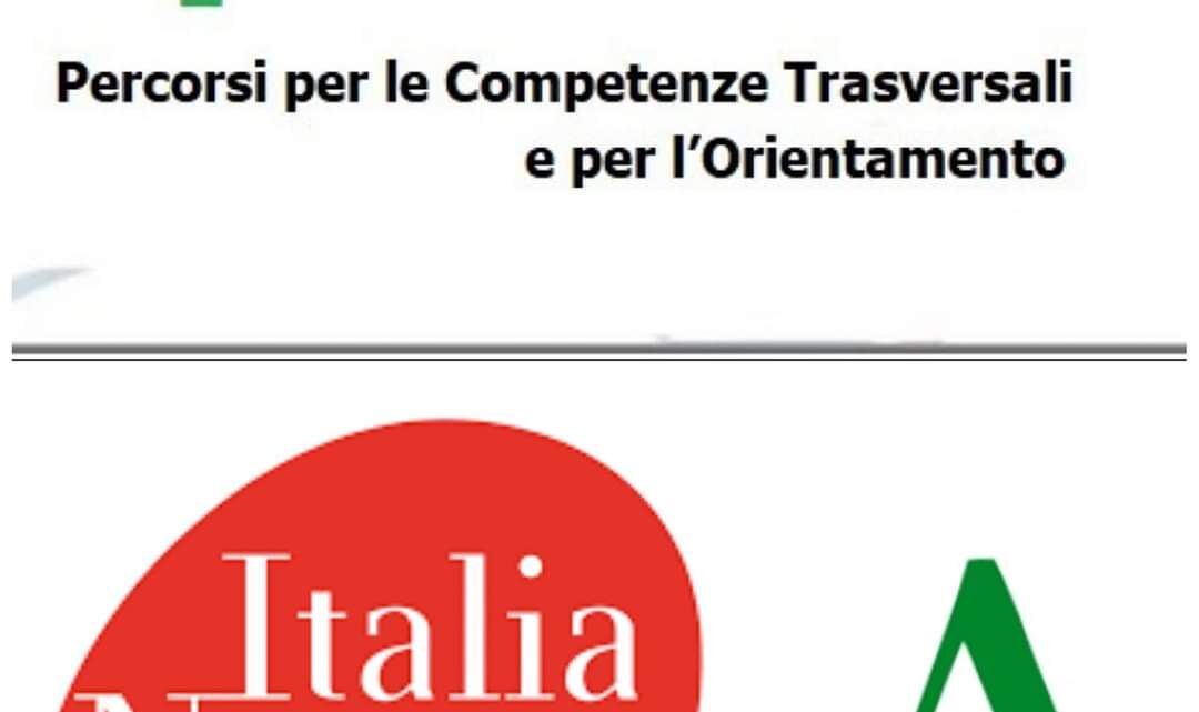 Italia Nostra Onlus propone il Progetto PCTO 2022-23, con lo scopo di creare un forte legame tra educazione, formazione e società civile